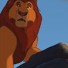 circleoflife: Mufasa looking alarmed. (unexpected)