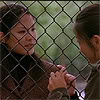 glass_icarus: (saving face: fence)
