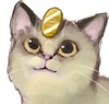 nymeria: an adorable picture of a meowth drawn to look more like a real cat.  (meowth it's cute)