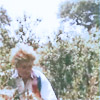 lindes: Six in the underbrush from "The Two Doctors" (DW: Wandering)