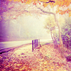 merryghoul: fall road (fall road)