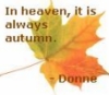 tree_and_leaf: Autumnal sycamore leaf, text reads: "In heaven, it is always autumn - Donne" (autumn)