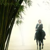 wuxia: (Default)