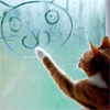 surpassingly: (kitteh: glass through fog)