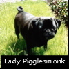 oselle: (Piggles)