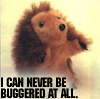 john: A stuffed hedgehog, with "I can never be buggered at all" underneath. (The hedgehog can never be buggered at al)