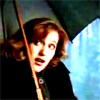 jekesta: Scully, scared of frogs. (Scully scared of frogs ys)