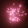 swaldman: Sparks from fireworks (sparks)