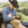bullrider: (sheepherding_19y)