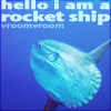 cyprinella: A mola-mola fish with the caption "hello i am a rocket ship vroom vroom" (sunfish rocketship)