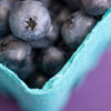 cyprinella: A blue pint basket full of blueberries (blueberries)
