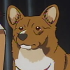 waywardtomato: (Furry Ein Person)