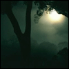 mokie: Firefies swirl beneath a tree on a moonlit night (happy)
