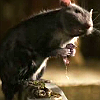 ratbastard: (what do you want?)