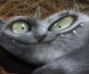 ch_duff: (наглый)