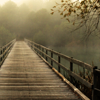 wenchpixie: a picture of an old wooden bridge in a wooded area disappearing off into soft bright morning mist (Stock Winter's bridge)