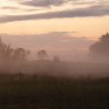 wenchpixie: (stock sunset misty)