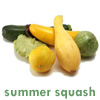 heresluck: (summer squash)