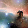 manifold: The Horsehead Nebula, a dark nebula in the constellation Orion. (horsehead nebula)