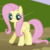 tornir: Fluttershy, a yellow animated pony with a pink mane and tail, from the animated series My Little Pony (Fluttershy)