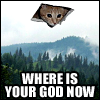 eriktrips: Ceiling Cat says "Where is your god now" (ceilingCat)