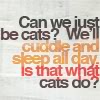 pretty_panther: (misc: can't we be cats?)