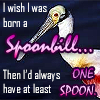 raze: A roseatte spoonbill and the text, "I wish I was born a soonbill... then I'd always have at least one spoon." (healthcrap)