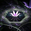 luminare_ardua: Flowerings- Lotus fractal abstract art (Default)