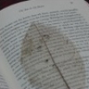 jolantru: (book)