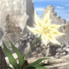 jesus_is_gundam: (Desert Flower)