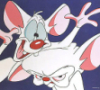 brigantine: (pinky and brain say hallo)