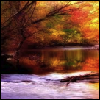 nonethefewer: Autumnal trees overlooking a river. (changes)