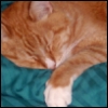 century_eyes: (Sleepy Spike)