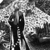 shikiofthewest: ((default))