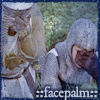 apis_mellifera: (monty python - facepalm)