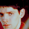 dracaleoht: ({ᴍ} Slightly Wary)