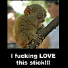 symbioid: (fucking love this stick)