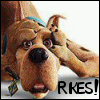 scoob_doo: (Default)