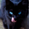 toujourschatte: (tasty)
