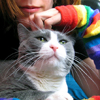 questa: (Hayley & Padme (Rainbows))