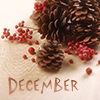 petzipellepingo: (december by magic_art)