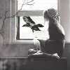 anbarna: (окно)
