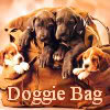 margotvankapelle: (doggie bag)