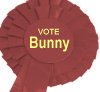 loganberrybunny: Election rosette (Rosette)