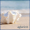 aglarien: (09White Shell by aglarien)