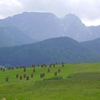 ciaccona: Photo of a green field with haystacks, with a higher hill and mountain in the background. (Default)
