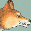 professorwolf: (wolf-growl)