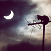 falling_snow: (Cat Moon)