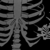 thepassenger: a skeleton hand taking a rib from the second-last row of another skeleton's ribcage. (Default)