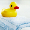 auburn: (Ducky)